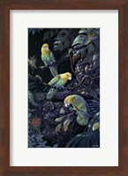 Framed Yellow Headed Amazons