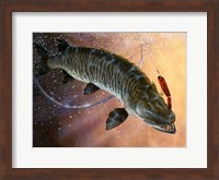 Framed Net Muskie