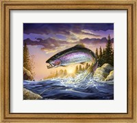 Framed Trout