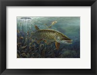 Framed Ice Pike