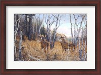 Framed Bowhunter's Dream