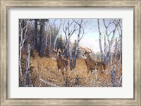 Framed Bowhunter's Dream