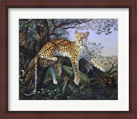 Framed Leopard's Domain