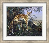 Framed Leopard's Domain