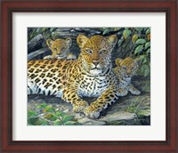 Framed Leopards' Lair