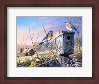 Framed Old Homestead Bluebirds