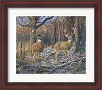 Framed Pair Of Eights