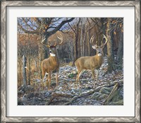 Framed Pair Of Eights