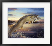 Framed Twilight Muskie