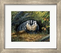 Framed Wisconsin Badger