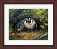 Framed Wisconsin Badger