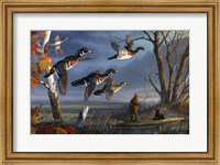 Framed Woodies On The Wing