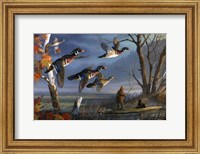 Framed Woodies On The Wing