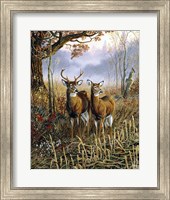 Framed Country Treasures