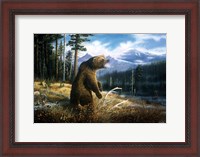 Framed Ghost Grizzly