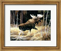 Framed Moose