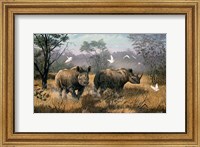 Framed Rhino