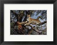 Framed Leopard