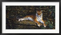 Framed Temple Tigress