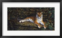 Framed Temple Tigress