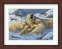Framed Snow Bears