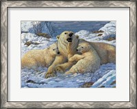 Framed Snow Bears