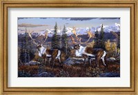 Framed Caribou