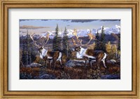 Framed Caribou