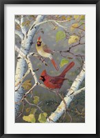 Framed Cardinals In Birch