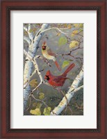 Framed Cardinals In Birch