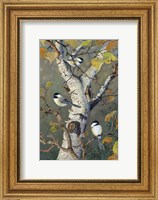 Framed Chickadees In Birch