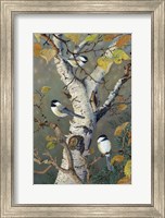 Framed Chickadees In Birch