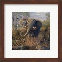 Framed Angry Tusker