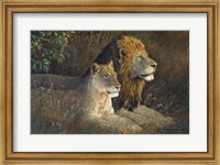 Framed Lions Domain