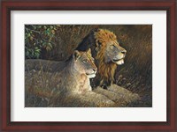 Framed Lions Domain