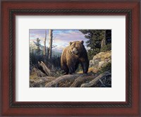 Framed Mountain Winds Grizzly