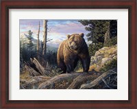 Framed Mountain Winds Grizzly
