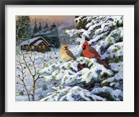 Framed Winters Warm Glow Cardinals