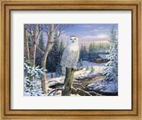 Framed Whispering Ridge Snowy Owl