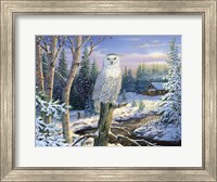 Framed Whispering Ridge Snowy Owl