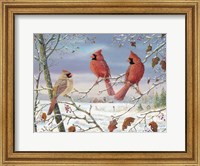 Framed First Snow Cardinals