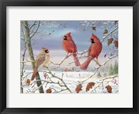 Framed First Snow Cardinals