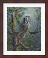 Framed Gray Dawn Owl