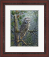 Framed Gray Dawn Owl