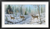 Framed Whitetail Passion