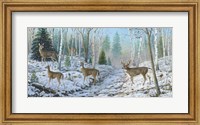 Framed Whitetail Passion