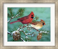 Framed Winter Morning Cardinals