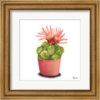 Framed Cactus Flowers I