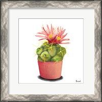Framed 'Cactus Flowers I' border=