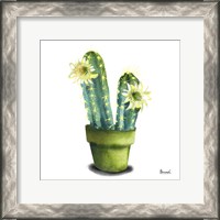 Framed Cactus Flowers II